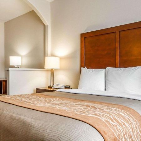 Comfort Inn & Suites Oakland Airport Ngoại thất bức ảnh