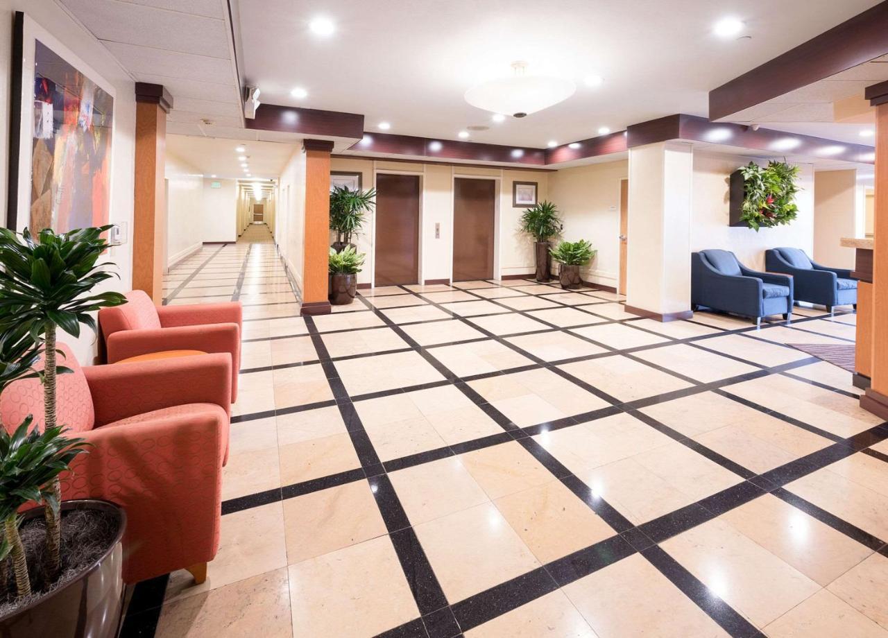 Comfort Inn & Suites Oakland Airport Ngoại thất bức ảnh